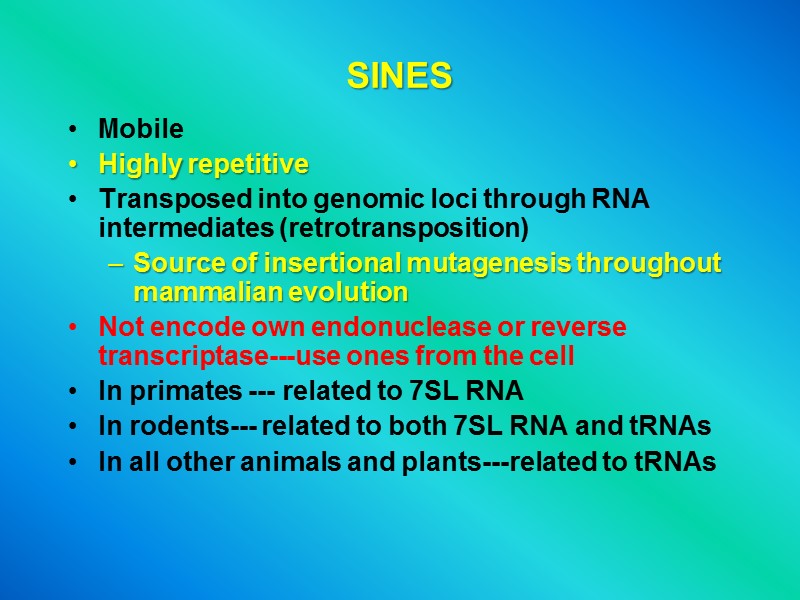 SINES Mobile Highly repetitive Transposed into genomic loci through RNA intermediates (retrotransposition) Source of